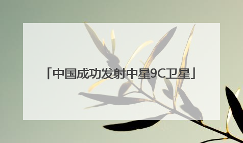 中国成功发射中星9C卫星