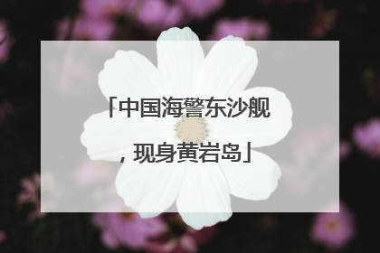 中国海警东沙舰，现身黄岩岛