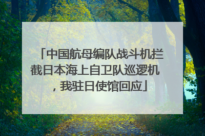 中国航母编队战斗机拦截日本海上自卫队巡逻机，我驻日使馆回应