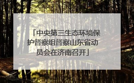 中央第三生态环境保护督察组督察山东省动员会在济南召开