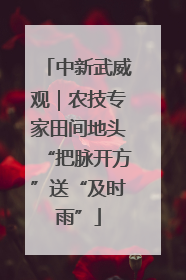 中新武威观｜农技专家田间地头“把脉开方”送“及时雨”