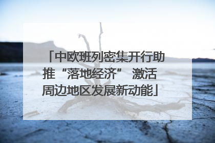 中欧班列密集开行助推“落地经济” 激活周边地区发展新动能