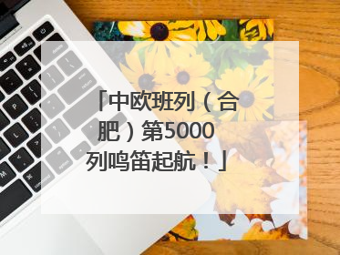 中欧班列（合肥）第5000列鸣笛起航！