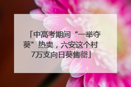 中高考期间“一举夺葵”热卖，六安这个村7万支向日葵售罄