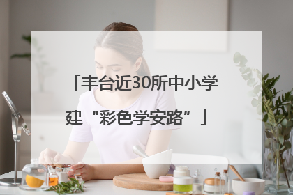 丰台近30所中小学建“彩色学安路”