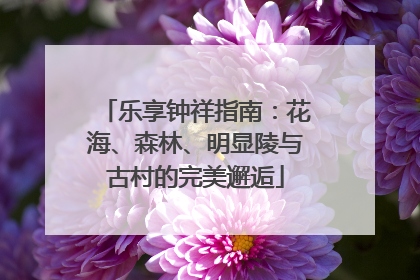 乐享钟祥指南：花海、森林、明显陵与古村的完美邂逅