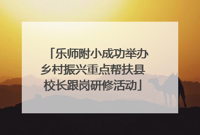 乐师附小成功举办乡村振兴重点帮扶县校长跟岗研修活动