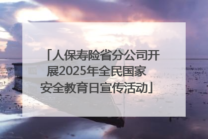 人保寿险省分公司开展2025年全民国家安全教育日宣传活动
