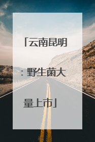云南昆明：野生菌大量上市