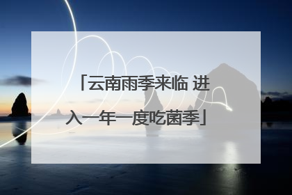 云南雨季来临 进入一年一度吃菌季