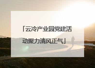 云冷产业园党建活动聚力清风正气