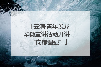 云洞·青年说龙华微宣讲活动开讲“向绿图强”