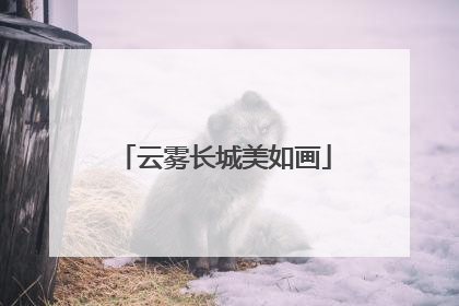 云雾长城美如画