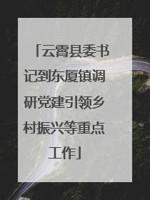 云霄县委书记到东厦镇调研党建引领乡村振兴等重点工作