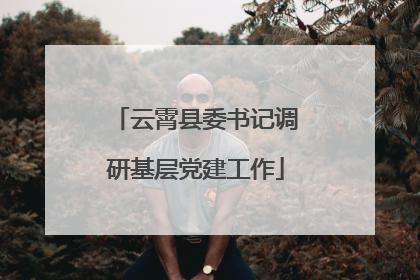 云霄县委书记调研基层党建工作