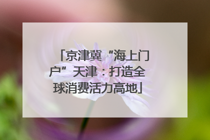 京津冀“海上门户”天津：打造全球消费活力高地
