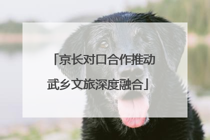 京长对口合作推动武乡文旅深度融合