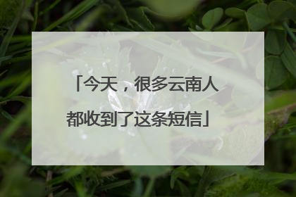 今天，很多云南人都收到了这条短信