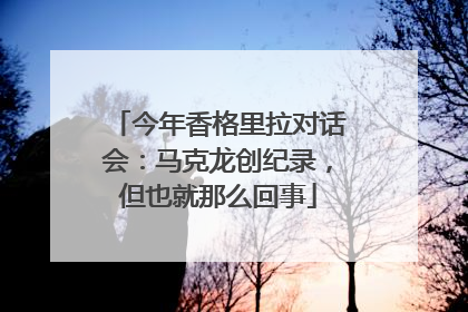 今年香格里拉对话会：马克龙创纪录，但也就那么回事