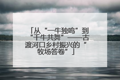 从“一牛独鸣”到“千牛共舞”——古渡河口乡村振兴的“牧场答卷”