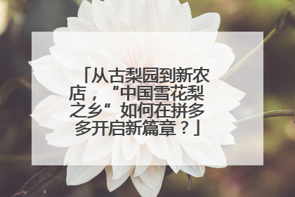 从古梨园到新农店，“中国雪花梨之乡”如何在拼多多开启新篇章？