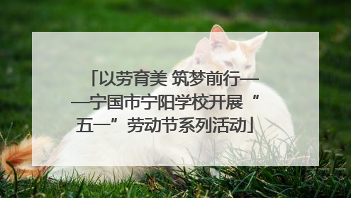 以劳育美 筑梦前行——宁国市宁阳学校开展“五一”劳动节系列活动