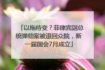 以拖待变？菲律宾副总统弹劾案被退回众院，新一届国会7月成立