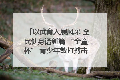以武育人展风采 全民健身谱新篇 “金童杯” 青少年散打搏击邀请赛圆满落幕