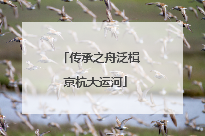 传承之舟泛楫京杭大运河