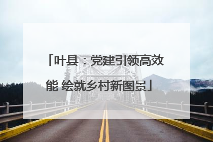 叶县：党建引领高效能 绘就乡村新图景