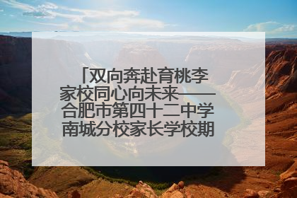 双向奔赴育桃李 家校同心向未来——合肥市第四十二中学南城分校家长学校期末总结会圆满召开