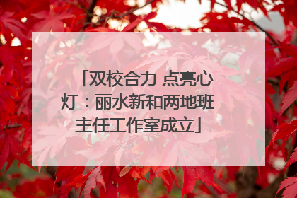 双校合力 点亮心灯：丽水新和两地班主任工作室成立
