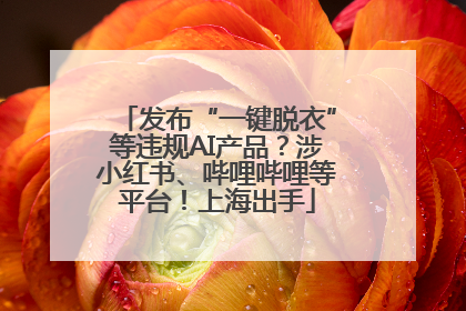 发布“一键脱衣”等违规AI产品？涉小红书、哔哩哔哩等平台！上海出手