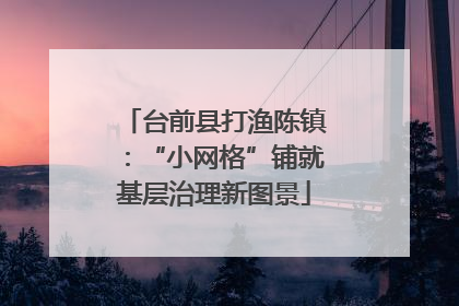 台前县打渔陈镇：“小网格”铺就基层治理新图景