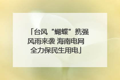 台风“蝴蝶”携强风雨来袭 海南电网全力保民生用电