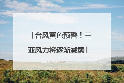 台风黄色预警！三亚风力将逐渐减弱