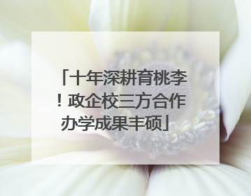 十年深耕育桃李！政企校三方合作办学成果丰硕