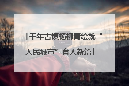 千年古镇杨柳青绘就“人民城市”育人新篇