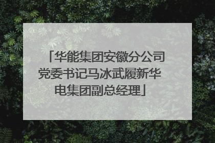 华能集团安徽分公司党委书记马冰武履新华电集团副总经理