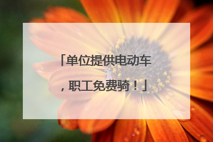 单位提供电动车，职工免费骑！