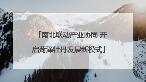南北联动产业协同 开启菏泽牡丹发展新模式