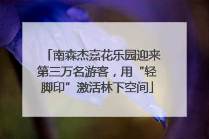南森杰嘉花乐园迎来第三万名游客，用“轻脚印”激活林下空间