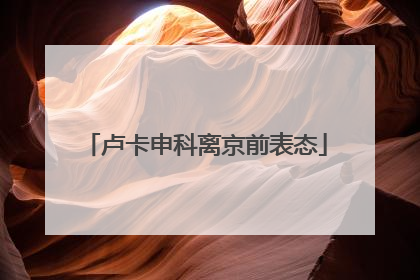 卢卡申科离京前表态