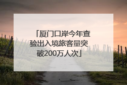 厦门口岸今年查验出入境旅客量突破200万人次