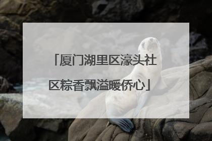 厦门湖里区濠头社区粽香飘溢暖侨心