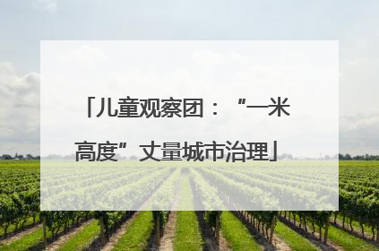 儿童观察团：“一米高度”丈量城市治理