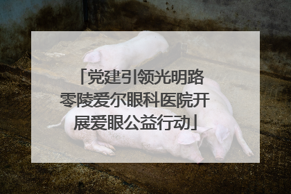 党建引领光明路 零陵爱尔眼科医院开展爱眼公益行动