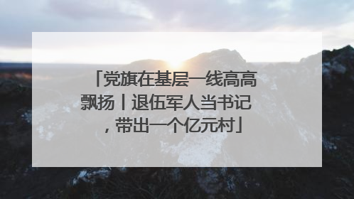 党旗在基层一线高高飘扬丨退伍军人当书记，带出一个亿元村
