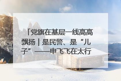党旗在基层一线高高飘扬｜是民警、是“儿子”——申飞飞在太行山中的一线坚守