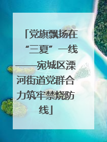 党旗飘扬在“三夏”一线——宛城区溧河街道党群合力筑牢禁烧防线